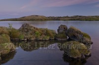 iceland-gardur